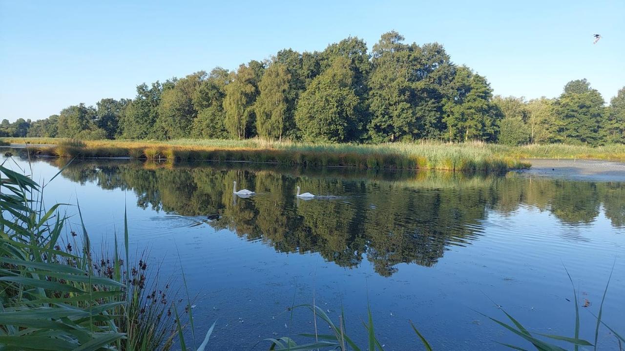 Helle Ferienwohnung In Nettetal Bei Venlo מראה חיצוני תמונה